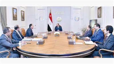 السيسي يصدر توجيهًا عاجلًا بشأن البضائع التي وردت إلى الموانئ
