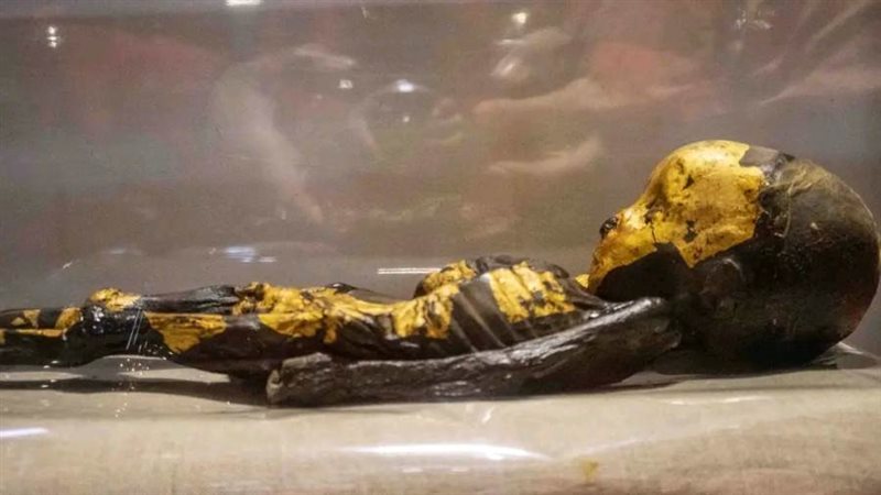 مومياء الطفل الذهبي