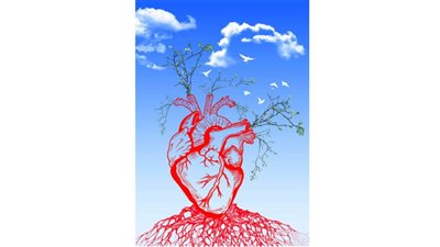 #الريشة_في_مواجهة_التغيرات_المناخية 