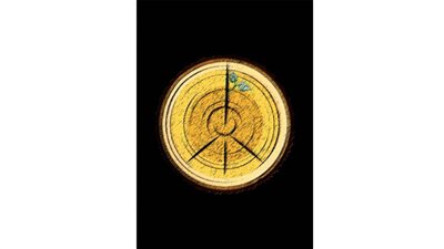 #الريشة_في_مواجهة_التغيرات_المناخية 