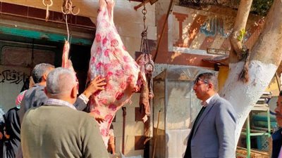 تحرير 47 مخالفة تموينية خلال حملة رقابية بمركز مطاي بالمنيا