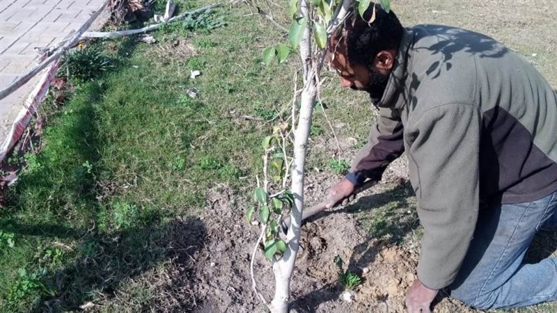 مبادرة زراعة ١٠٠