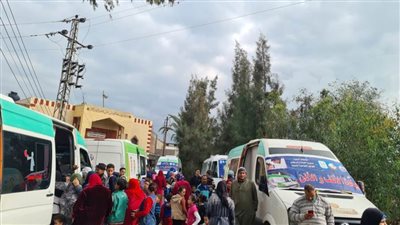 الكشف على 1703 مواطنين في قافلة طبية مجانية بقرية المروحة بالبحيرة 