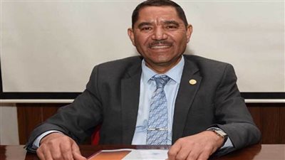 رئيس هيئة الاستشعار: 