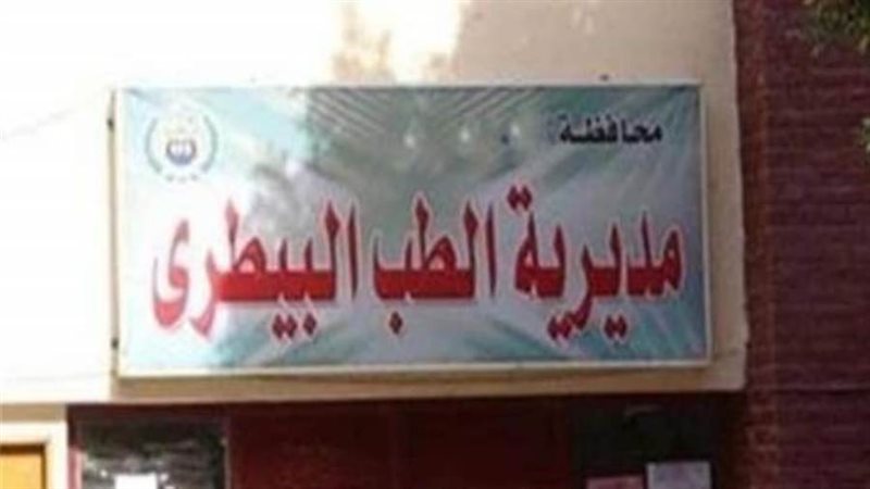 حملات دورية لمكافحة