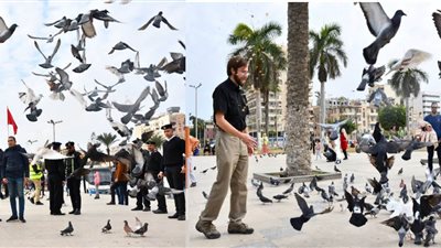  عاجل| سائحون يتزحلقون على جبال الملح.. وحمام السلام يرحب بالسائحين 