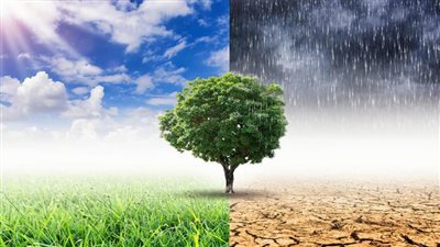 في عز يناير.. تغير المناخ يرفع درجات الحرارة في أوروبا والحكومات تستغل الفرصة