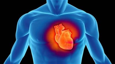 دراسة: علماء يابانيون يتوصلون لمكمل غذائي قد يعالج 