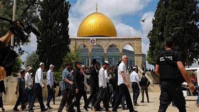 مستوطنون إسرائيليون يقتحمون الأقصى والاحتلال يعتقل 4 فلسطينيين من القدس والخليل