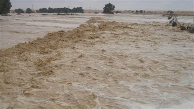 عاجل.. سيول متوسطة بوسط سيناء
