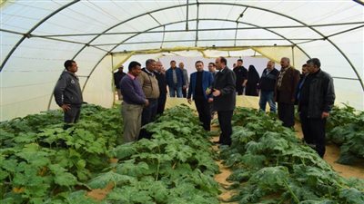 رئيس جامعة العريش يتفقد المزرعة النموذجية للجامعة