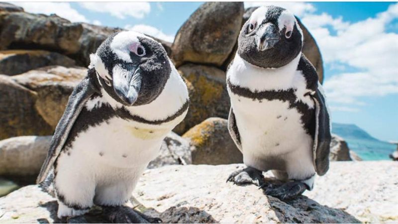 شاطئ بولدرز