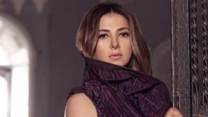 دنيا سمير غانم