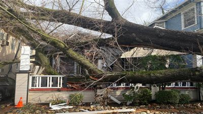 دمار هائل في ولاية كاليفورنيا الأمريكية  (صور)