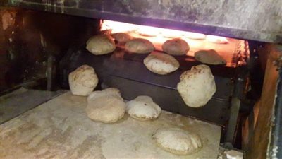 تحرير 44 مخالفة تموينية لعدد من المخابز لـ