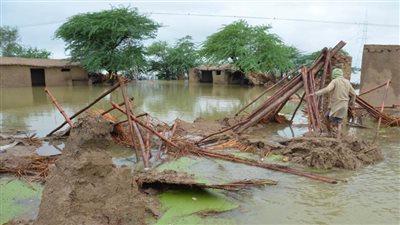 (يونيسيف): تلوث مياه الفيضانات فى باكستان يهدد أرواح 4 ملايين طفل بالمناطق المنكوبة