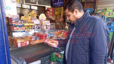 حملات على أسواق كفر الشيخ والتحفظ على 800 كيلو أسماك هارينج