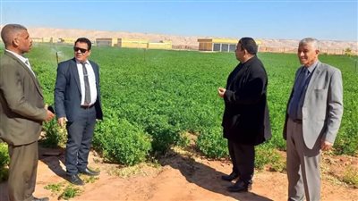 بشائر الخير من داخل بلاط الزراعية.. محاصيل متميزة بالصوب الزراعية ومزرعة المدرسة وطرق مستحدثة للزراعة