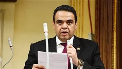 برلماني: توجيهات الرئيس بإحكام الرقابة على الصادرات الزراعية يعكس حرصه على الاهتمام بجودة المنتج المصري