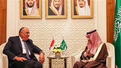 مصر والسعودية تؤكدان أهمية استمرار التنسيق لمواجهة التحديات الماثلة أمام الطرفين وفي المنطقة