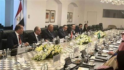 مصر والسعودية تدينان محاولات المساس بأمن الملاحة في الخليج العربي