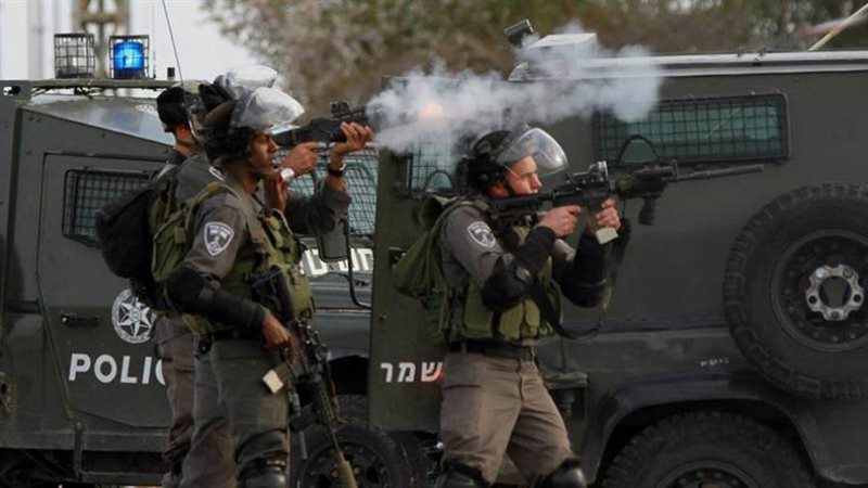 قوات الاحتلال الإسرائيلي