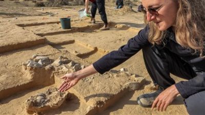 عاجل.. العثور على  ٨ بيضات نعام عمرها ٧٥٠٠ سنة