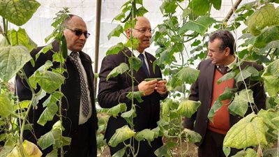 رئيس جامعة بنها يتفقد مزارع القمح والوحدات الإنتاجية بكلية الزراعة 