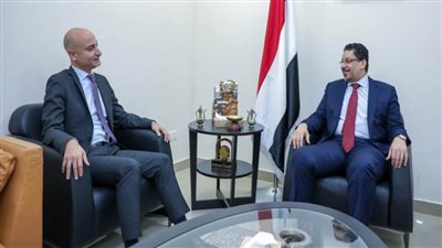 اليمن وفرنسا يبحثان الجهود المبذولة لتحقيق السلام