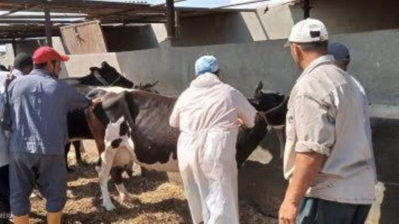 تحصين 610 ألف و680