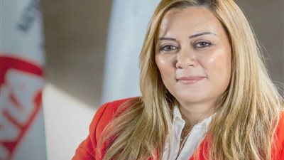 المدير التنفيذي للأكاديمية الوطنية للتدريب تبحث سبل التعاون مع وزير التنمية المحلية 