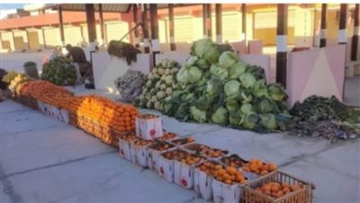 السلع والخضراوات بأسعار الجملة  بمدينة موط بمركز الداخلة بالوادي الجديد