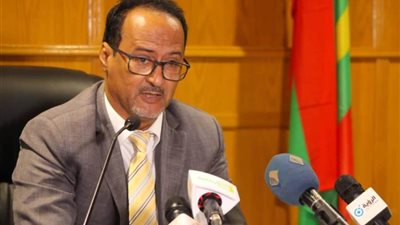 مفكر موريتاني: مصر حققت نهضة غير مسبوقة في عهد الرئيس السيسي