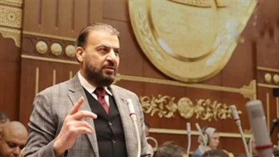 برلماني: انطلاق الحوار الوطني يأتي في توقيته لتوحيد الجهود لخدمة الوطن