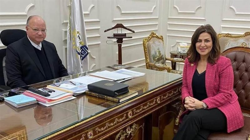 محافظ القاهرة والنائبة