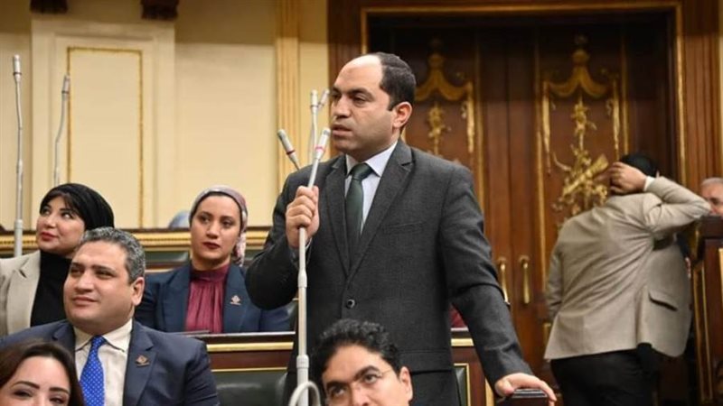 النائب عمرو درويش