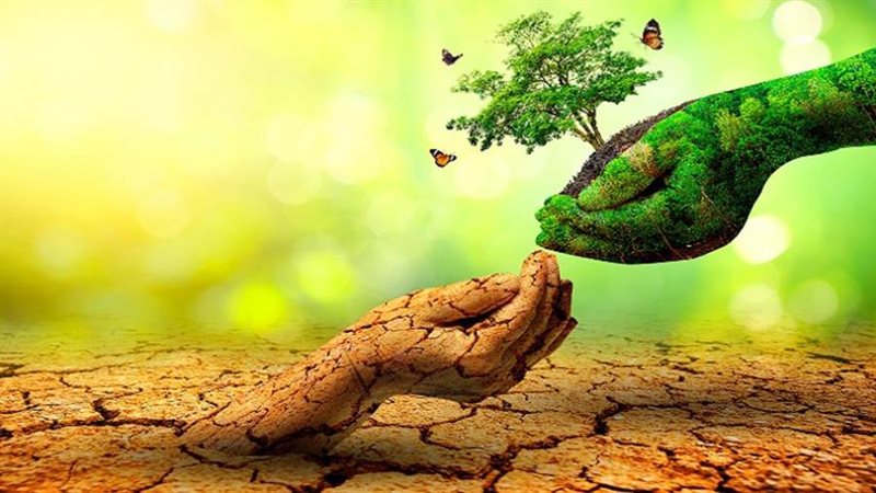 قضايا البيئة للحد