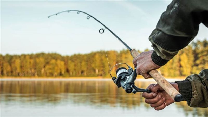 أسماك المياه العذبة