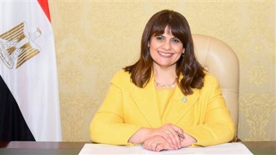 الهجرة: نعمل مع الجهات المعنية لإطلاق تطبيق إلكتروني لتوفير الخدمات للمصريين بالخارج