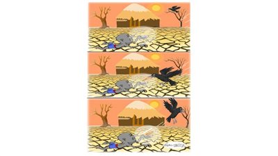 #الريشة_في_مواجهة_التغيرات_المناخية 