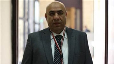 برلماني: زيادة سعر توريد القمح يشجع الفلاحين ويقلل الفاتورة الاستيرادية