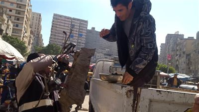 حملات مكبرة لإزالة الإشغالات والتعديات على مستوى الأحياء بالإسكندرية