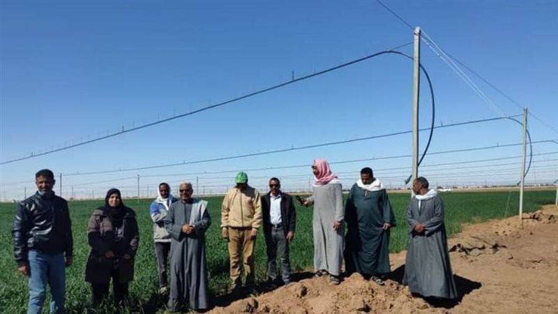 ندوة حقليه لزراعة