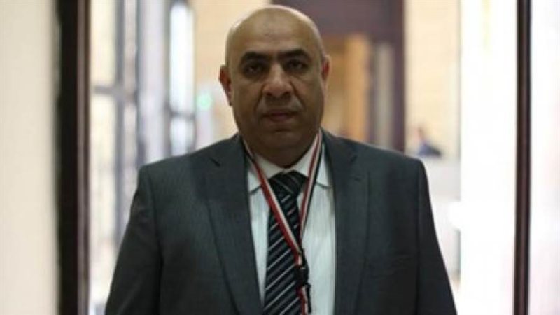 النائب علاء عبدالنبي