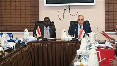 وزيرا الري المصري والسوداني يناقشان التعاون المشترك فيه إدارة نهر النيل 