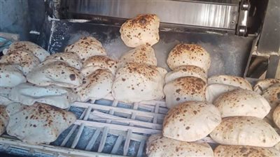 تحرير 17 مخالفة خلال حملات رقابية على المخابز البلدية والأسواق بملوي