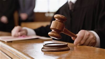 تأجيل محاكمة 14 عنصرًا إخوانيًا بـ 