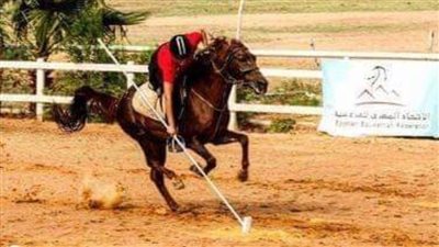 انطلاق التصفيات النهائية المؤهلة لبطولة كأس العالم لالتقاط الأوتاد بمنافسات الرمح 