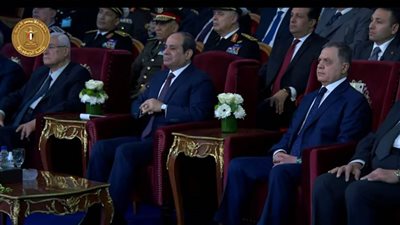 عاجل.. الرئيس السيسي: كان هناك تربص بالجيش والشرطة من أجل أن تضيع مصر