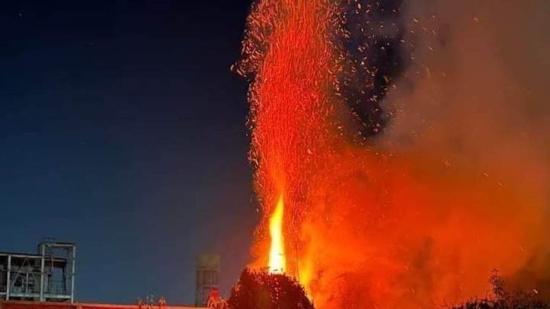 حريق الاشجار